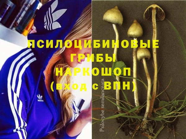 PSILOCYBIN Володарск